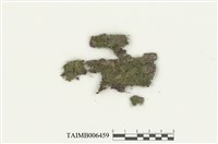 藏品(東亞碎米苔)的圖片